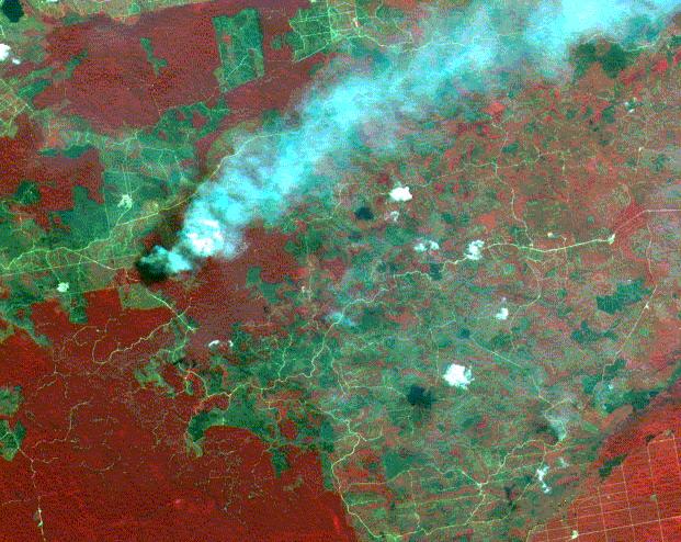 Imagini compuse din culori false (4) Aceeasi imagine multispectrala obtinuta cu SPOT 4 se poate compune si fara afisarea benzii IR scurt: Rosu: banda