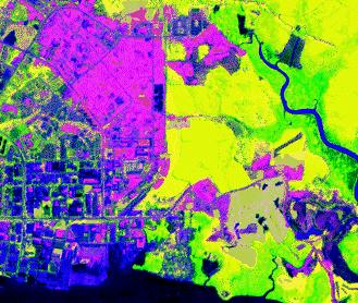 Indicii de vegetatie (2) Banda NDVI se poate combina de asemenea cu alte benzi ale imaginii multispectrale formandu-se o imagine color-compusa care ajuta la deosebirea diferitelor tipuri de vegetatie