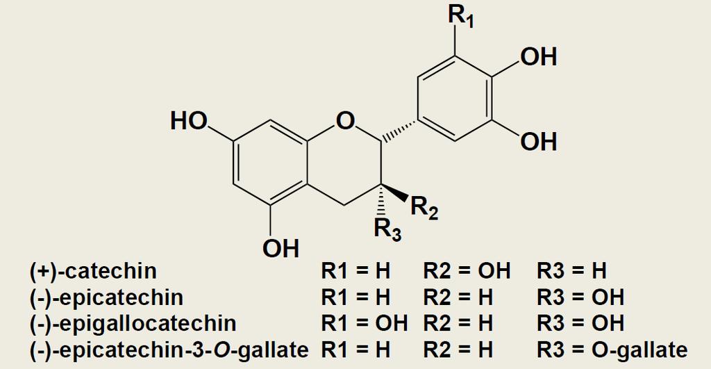 Strukture taninov: mdp, %G, %P (LC-DAD-MS; floroglucinol,