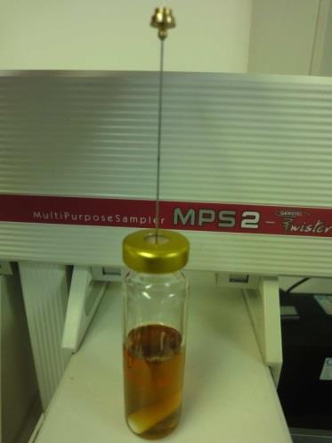 HS-SPME-GC-MS (Bavčar et al.