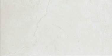 50x100 Muse