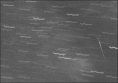 Slika 7: Prvič na taboru in Špela Šemrlj posname meteor.