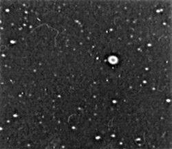 Slika 23: M57. Meade LX200-10 z reduktorjem f 6.3. Osvetlitev 8min na film Tmax 3200.