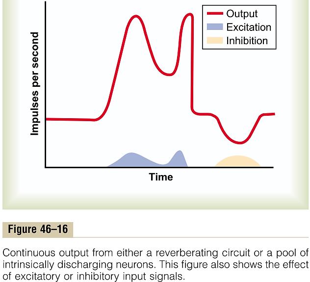 Континуиран излез на сигнали од неврални кругови (дури и без ексцитабилен влезен сигнал) Континуирано празнење предизвикано од внатрешна неврална ексцитабилност