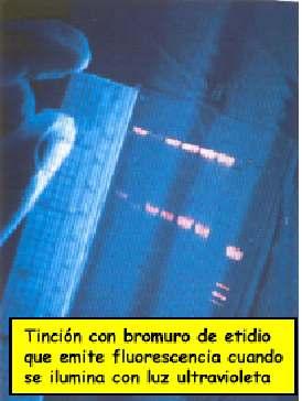 As emisións de partículas pódense detectar mediante dúas técnicas: A espectometría de centelleo líquido que se basea na propiedade que