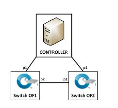 Холимог ОпенФлов дээр суурилсан сүлжээ Packet-Out мессэж нь мөн LLDP пакетийн ашигтай ачааллын TLV талбарт заасан портоор LLDP бүрийг замчлахын тулд харгалзах мессэжийн нэвтрэлтийг свичэд өгнө.