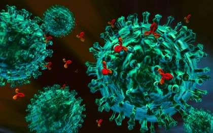 Validation procedures for in house immuno-assay methods ΟΝΟΜΑΤΑ ΦΟΙΤΗΤΩΝ/NAMES OF STUDENTS Βασιλική Κώτσιρα/ Vasiliki Kotsira
