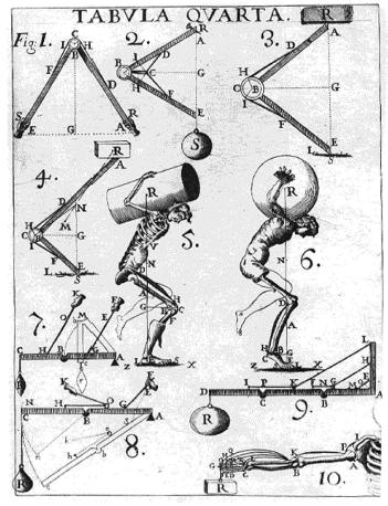 Biomechanics Borelli s