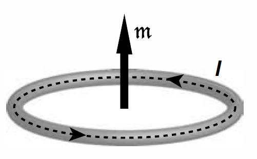 Vektor magnetizácie M H Pole v okolí prúdovej slučky Orbitálový pohyb m orb m spin m s =±1/2, sekund. spinové kvant. číslo Magn.