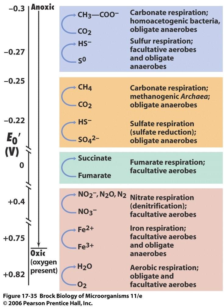 Disanje aerobna respiracija - krajnji akceptor elektrona kiseonik anaerobna respiracija - drugo neorgansko ili organsko jedinjenje