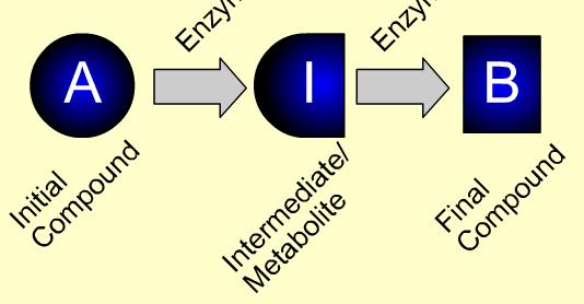 Metabolički proces uključuje sekvencionalnu konverziju