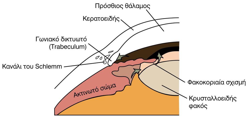 Θ Δ 54 : ¼ΦùυóσéιïοìλïοçγÝίáα