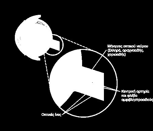 Θ Δ 55 : ΠáαõθïοæφùυóσéιïοìλïοçγÝίáα çγìλáαùυëκñώµáαôτïο ς Η