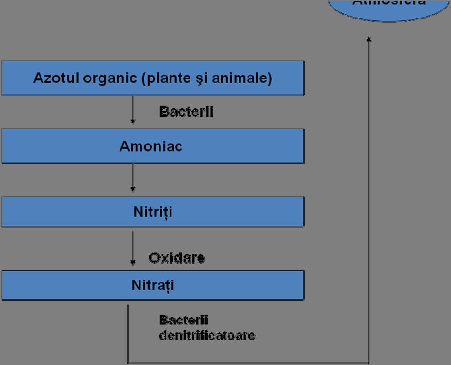 Prezenţa amoniacului în apele potabile este limitată de normele recomandate de Organizaţia Mondială a Sănătăţii, la cantităţi foarte mici (sub 0,05