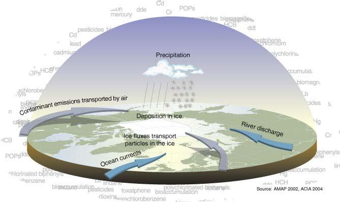 Transportul şi transferul poluanţilor în atmosferă. Unul dintre cele mai spinoase probleme legate de poluare atmosferică o reprezintă poluarea zonelor arctice.