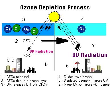 (după: http://envis.tropmet.res.in/kidscorner/ozone.