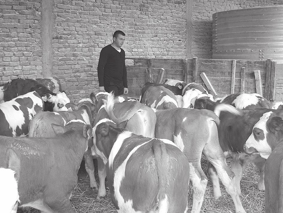Ni je la ko, ima do sta pro ble ma, ali po sao ko ji ni je iza zo van ni ne pri li či mla dim i bor be nim lju di ma, sma tra Jo van Smi lja nić P o ljo pri vred nik Jo van Smi lja nić iz Sa la ša No