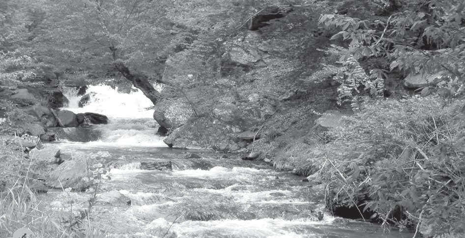 health of the people because there s a presence of heavy metals in the surface waters and the soils.