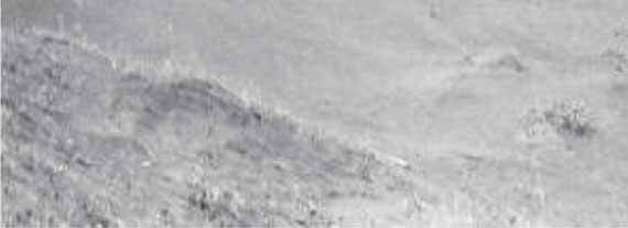 Air pollution with dust from the slope of the tailing dump. 2.