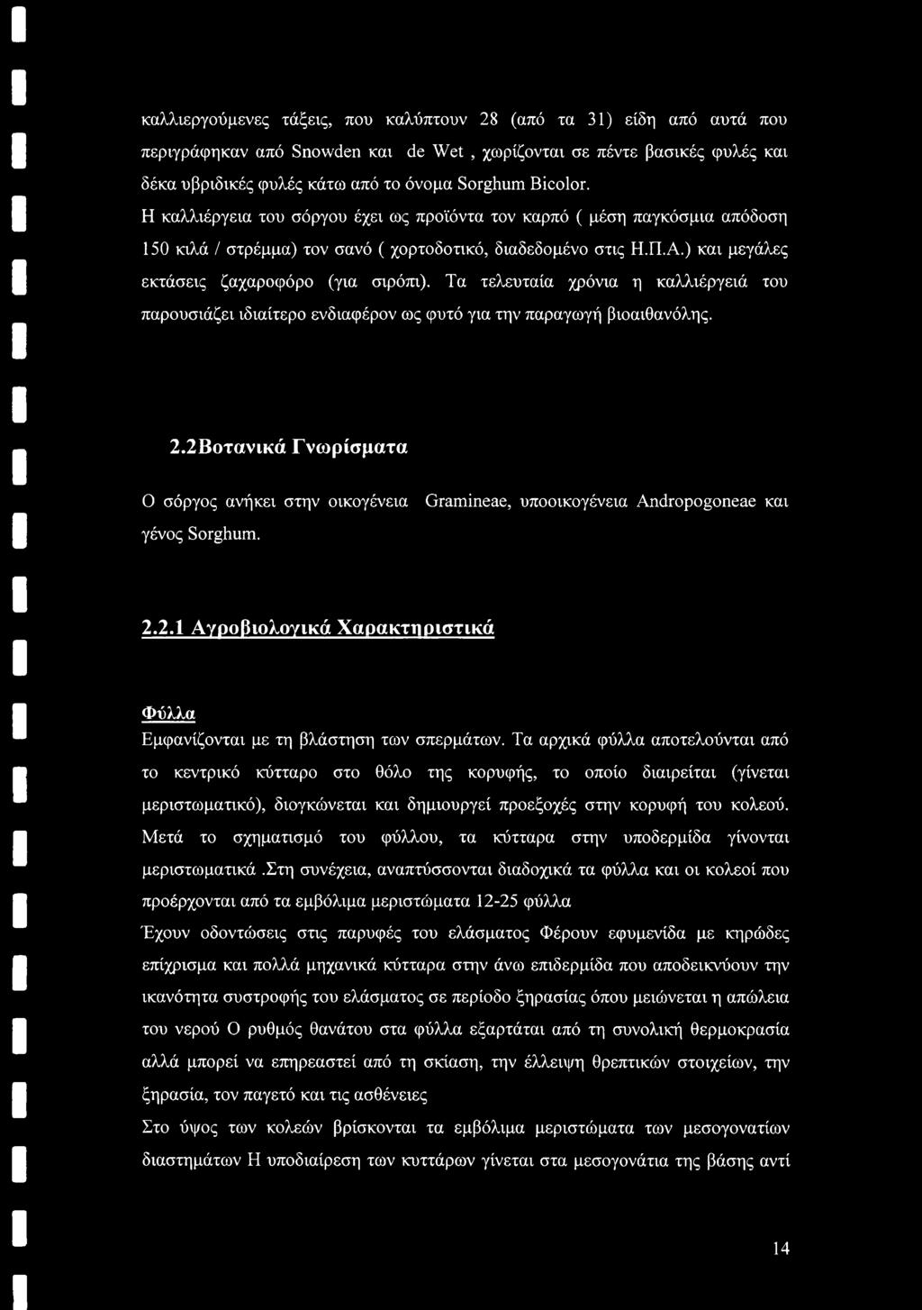 Τα τελευταία χρόνια η καλλιέργειά του παρουσιάζει ιδιαίτερο ενδιαφέρον ως φυτό για την παραγωγή βιοαιθανόλης. 2.