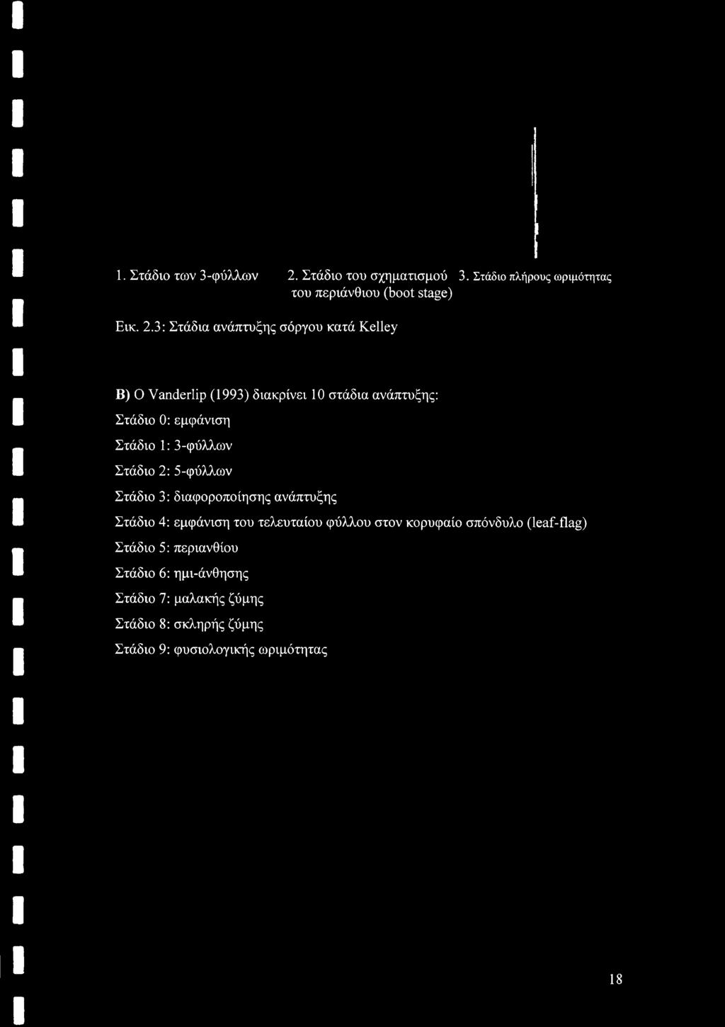 3: Στάδια ανάπτυξης σόργου κατά Kelley Β) Ο Vanderlip (1993) διακρίνει 10 στάδια ανάπτυξης: Στάδιο 0: εμφάνιση Στάδιο 1: