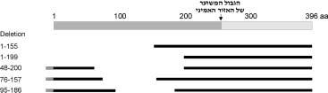 מוטנטי חסר של.PrrC מלבנים שחורים מציינים רצפי.PrrC מלבנים אפורים בשלושה תמונה 3.