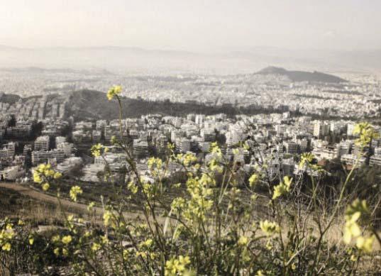 τόνισε η εισηγήτρια αντιπεριφερειάρχης Ερμίνα Κυπριανίδου, «με το έργο αυτό θα επιλυθεί σειρά σημαντικών προβλημάτων υγιεινής, ασφάλειας και άλλων βασικών υποδομών όπως το αποχετευτικό, τα λήμματα, η