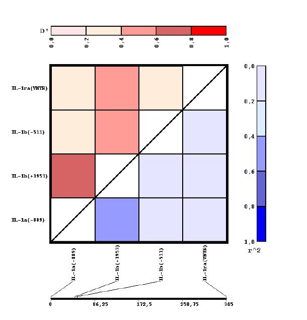 Πίνακας 17: Ανισορροπία σύνδεσης (Linkage Disequilibrium, LD) για τους πολυμορφισμούς της οικογένειας της IL-1 (chr 2) στους ασθενείς της μελέτης.