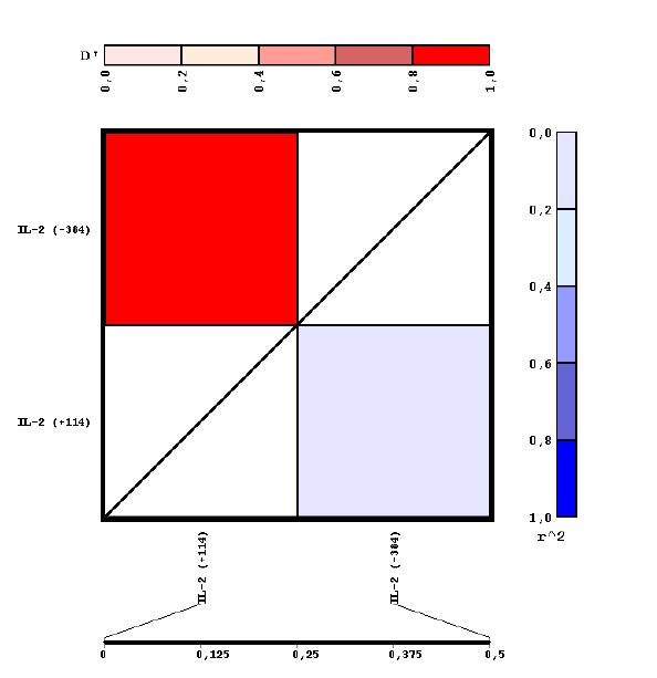 Πίνακας 18: Ανισορροπία σύνδεσης (Linkage Disequilibrium, LD) για τους πολυμορφισμούς της IL-2 (chr 4) στους ασθενείς της μελέτης.