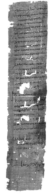 Tavola viii