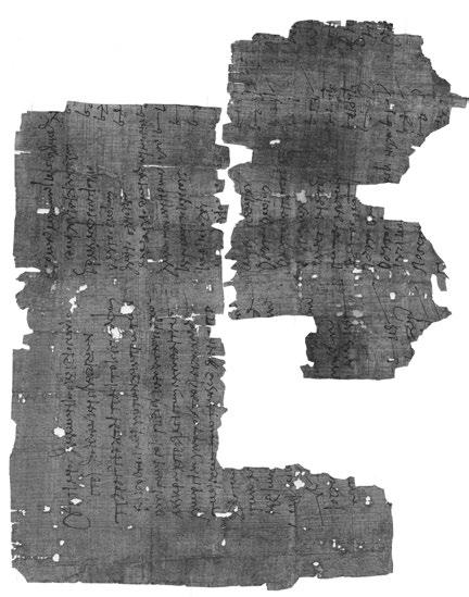 Tavola xxvi 18.