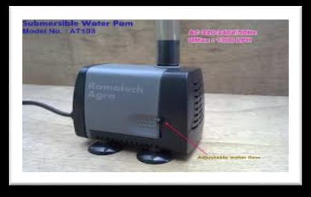 AWAL MODEL