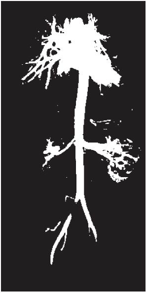 izodata