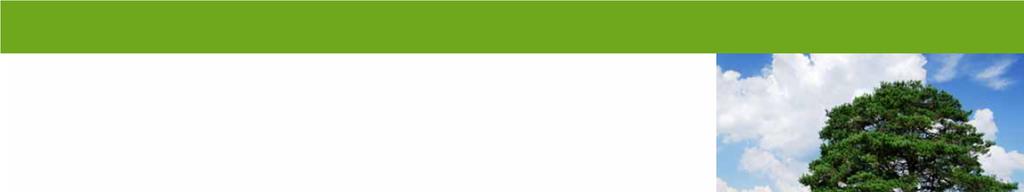 NanoFlex Eco tehnologia certificata,, eco-compatibila NANOFLEX ECO: INOVATIA PENTRU UN MEDIU MAI SANATOS NanoFlex Eco monocomponent, cu reologie