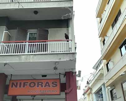 site γνωριμιών για υπερφυσική