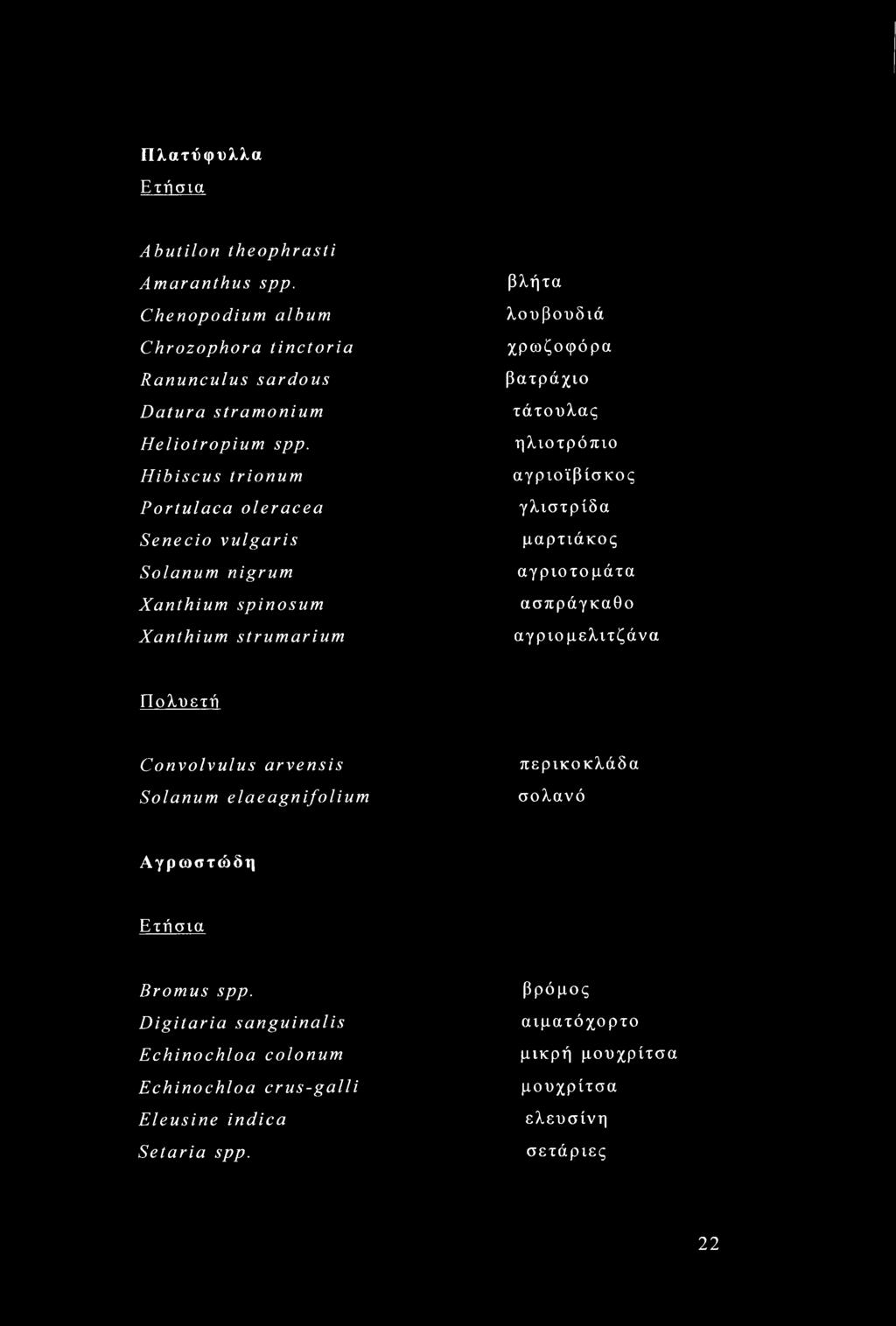 αγριοϊβίσκος γλιστρίδα μαρτιάκος αγριοτομάτα ασπράγκαθο αγριομελιτζάνα Πολυετή Convolvulus arvensis Solanum elaeagnifolium περικοκλάδα σολανό Αγρωστώδη Ετήσια