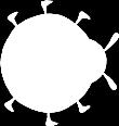 Ποια βίδα είναι αυτή; (A) 1 (B) 2 (C) 3 (D) 4 (E) 5 5. Here is a picture of Sophie the ladybird. She turns around.