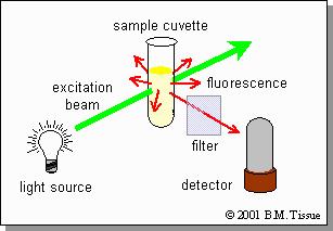 Fluorescencijos spektroskopija Principinė spektrofluorimetro schema Išmatuotas fluorescencijos intensyvumas molekulei I φ μ fi Priklauso tiek nuo pačios molekulės savybių (šuolio dipolinio momento),
