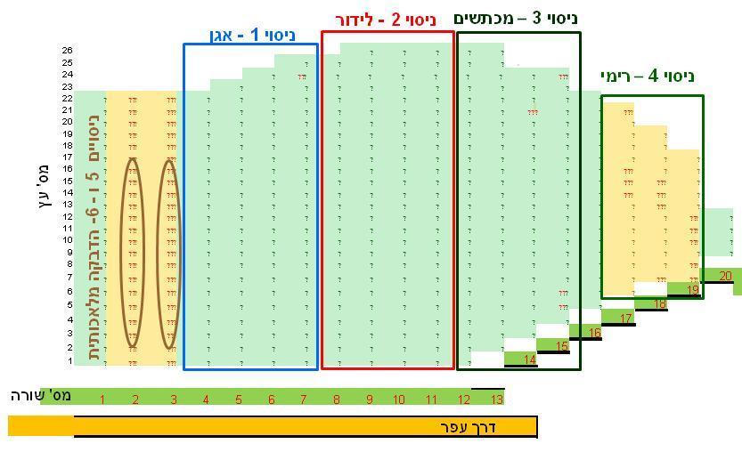 5 איור מספר 1: תרשים סכמאטי של המטע בדישון בו בוצעו הניסויים בשנת 2012. השורות הצבועות בצבע ירוק הן של הזן ספדונה ובצבע כתום בהיר הזן קוסטיה.