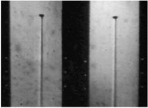 S7. R R R S8. Figure 5.