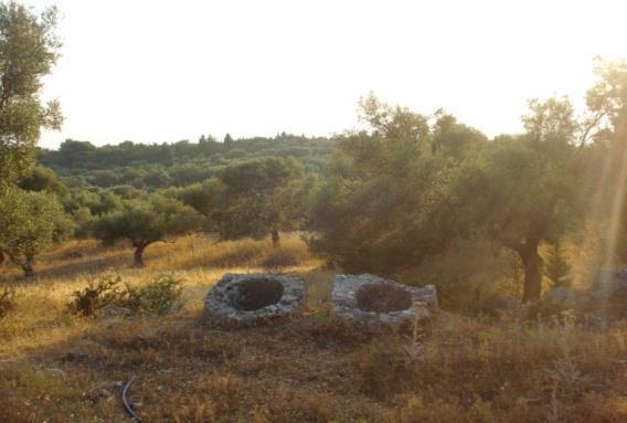 επιφωνήσεις και όρκους.