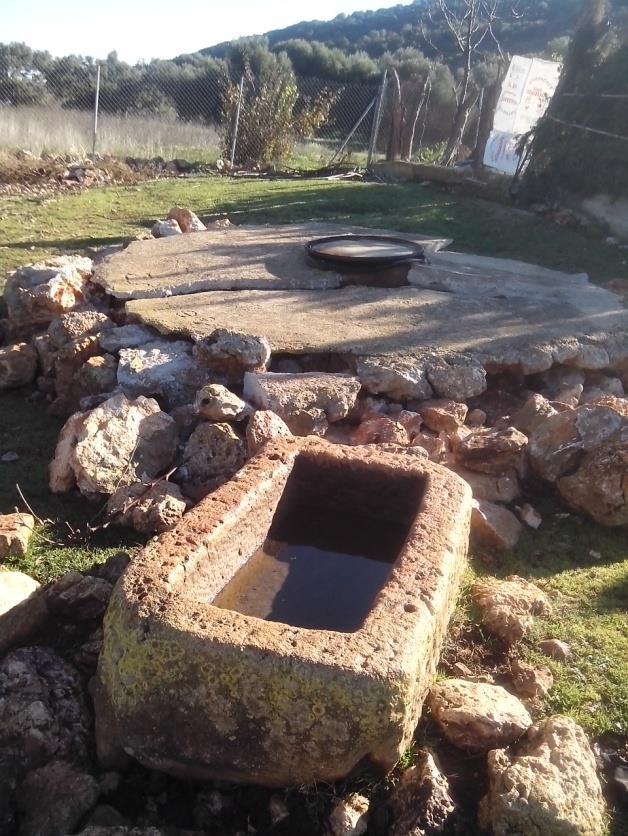 Η Λευκάδα, όπως και τα υπόλοιπα Επτάνησα, βρίσκεται σε μια περιοχή που χαρακτηρίζεται από τεκτονικά ρήγματα.