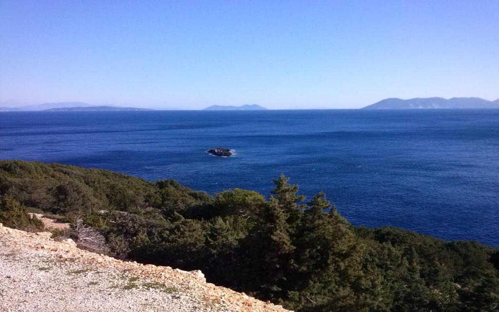 Σκορπιός, το Σκορπίδι, η Σπάρτη και η