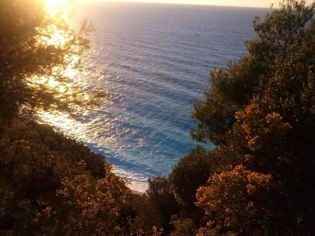 ξακουστή