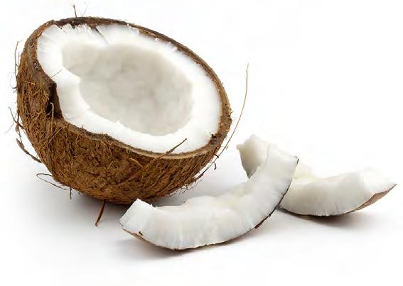 Φυσική Καρύδα (Cocos Nucifera) Οι μοναδικές ιδιότητες της καρύδας γίνονται όλο και περισσότερο γνωστές και την κατατάσουν στην πρώτη θέση ανάμεσα στις υπερτροφές.