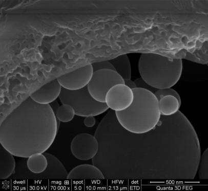 prin metoda sol gel, apartinand sistemelor Ti:Si 1:2, 1:1 (c) (d) (e) (f) Figura 212 Imaginile AFM ale microsferelor