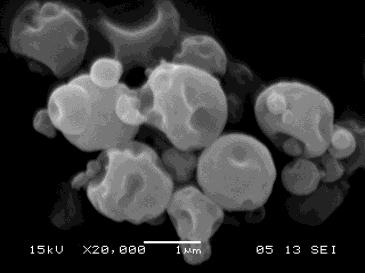 distorsionat Se observa de asemenea faptul ca microsferele apartinand sistemului Ti:Si 1:1 au un grad mai mare de distordionare decat cele apartinang