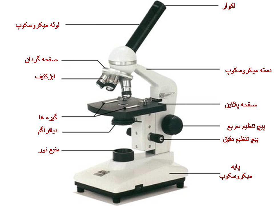 دنا یب یتح راک شچ هیاز 45 هج تبسن رحم یلصا مئاق پکسرک راس پکسرک بکرم یاد طقف هعطق شچ پکسرک کت شچ هتفگ.