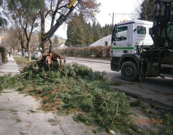 družbena odgovornost Brezplačno smo odpeljali 143 ton vejevja Žled in led, ki sta pustošila po Sloveniji v začetku februarja 2014, sta tudi v Mestni občini Maribor za seboj pustila razdejanje, ki je