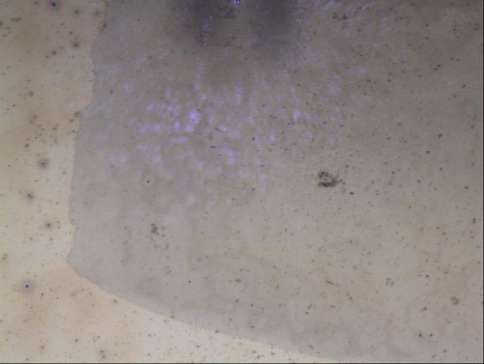Figura 11. Imagine optica a zonei iradiate a unui donor de /Cuart.